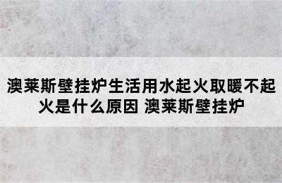 澳莱斯壁挂炉生活用水起火取暖不起火是什么原因 澳莱斯壁挂炉